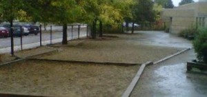 mary-honeywell-yard mary-honeywell-yard